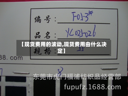 【现货费用的波动,现货费用由什么决定】-第2张图片