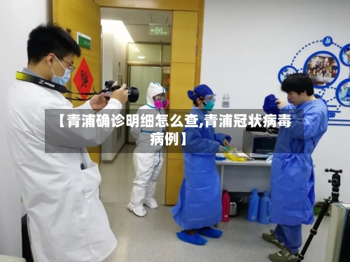 【青浦确诊明细怎么查,青浦冠状病毒病例】-第3张图片