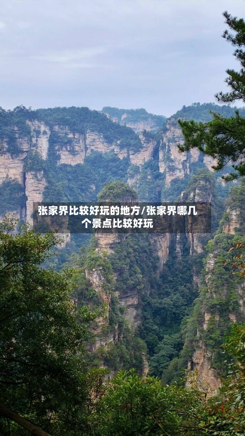 张家界比较好玩的地方/张家界哪几个景点比较好玩-第3张图片