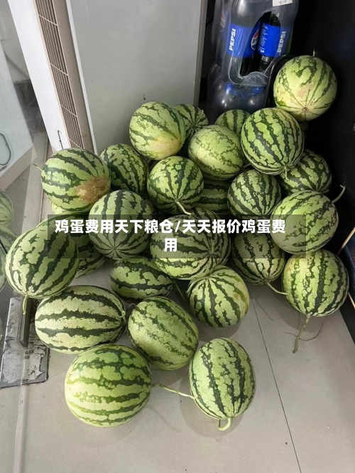 鸡蛋费用天下粮仓/天天报价鸡蛋费用-第2张图片