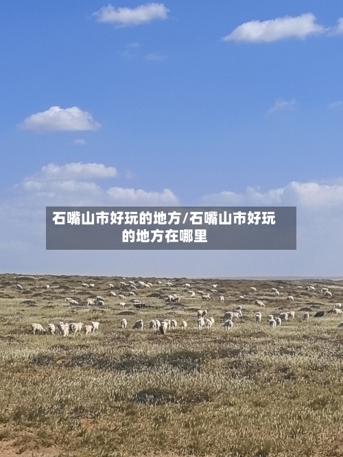 石嘴山市好玩的地方/石嘴山市好玩的地方在哪里-第2张图片