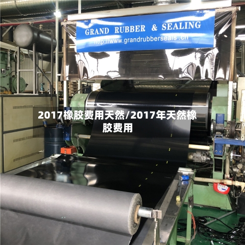 2017橡胶费用天然/2017年天然橡胶费用-第2张图片