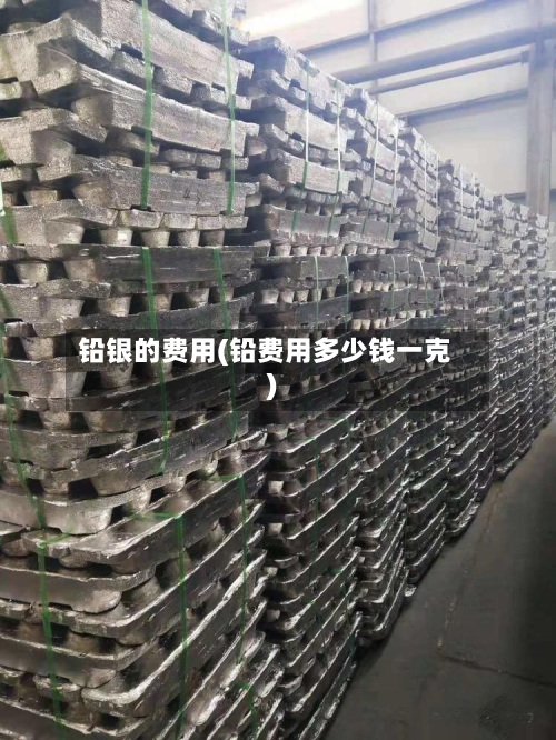 铅银的费用(铅费用多少钱一克)-第2张图片