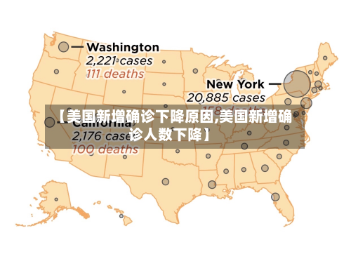 【美国新增确诊下降原因,美国新增确诊人数下降】-第2张图片
