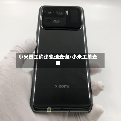 小米员工确诊轨迹查询/小米工单查询