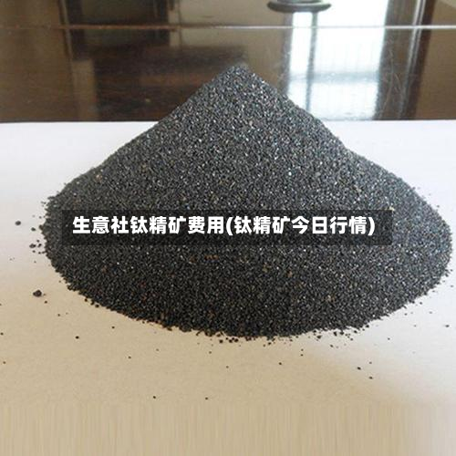 生意社钛精矿费用(钛精矿今日行情)