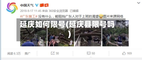 延庆如何限号(延庆县限号吗)-第3张图片