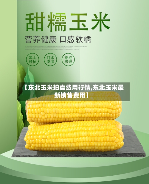 【东北玉米拍卖费用行情,东北玉米最新销售费用】