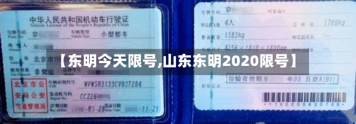 【东明今天限号,山东东明2020限号】-第2张图片