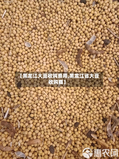 【黑龙江大豆收购费用,黑龙江省大豆收购商】