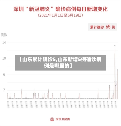 【山东累计确诊5,山东新增5例确诊病例是哪里的】