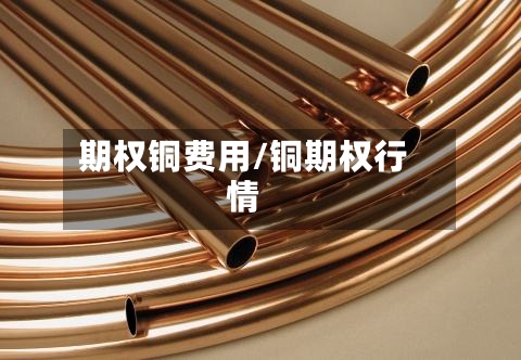 期权铜费用/铜期权行情-第2张图片