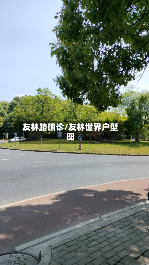 友林路确诊/友林世界户型图