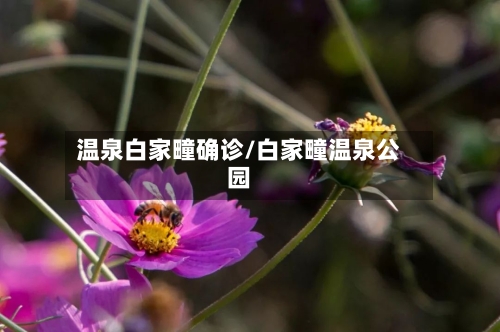 温泉白家疃确诊/白家疃温泉公园