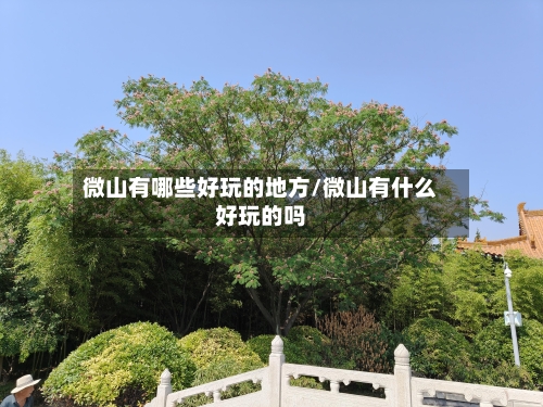 微山有哪些好玩的地方/微山有什么好玩的吗-第2张图片