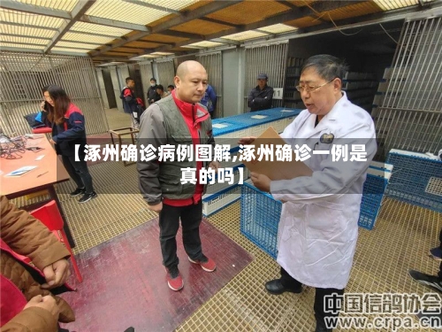 【涿州确诊病例图解,涿州确诊一例是真的吗】