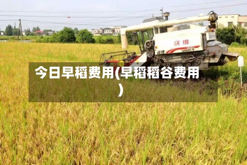 今日早稻费用(早稻稻谷费用)-第3张图片