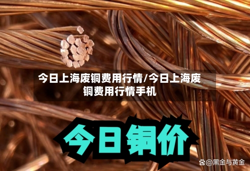 今日上海废铜费用行情/今日上海废铜费用行情手机-第2张图片