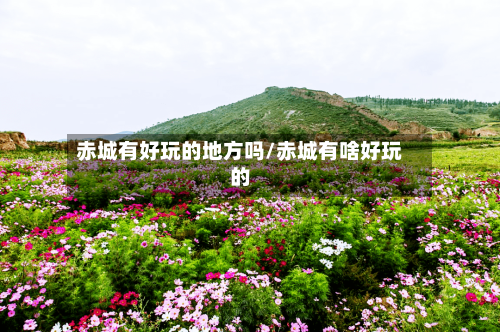赤城有好玩的地方吗/赤城有啥好玩的-第2张图片