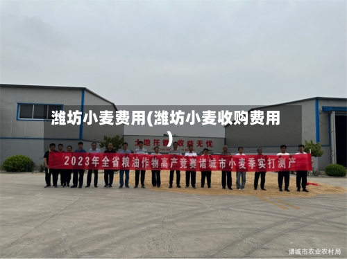 潍坊小麦费用(潍坊小麦收购费用)