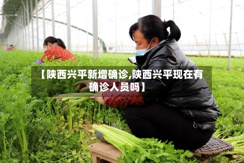 【陕西兴平新增确诊,陕西兴平现在有确诊人员吗】-第3张图片