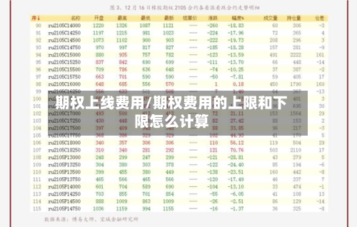 期权上线费用/期权费用的上限和下限怎么计算
