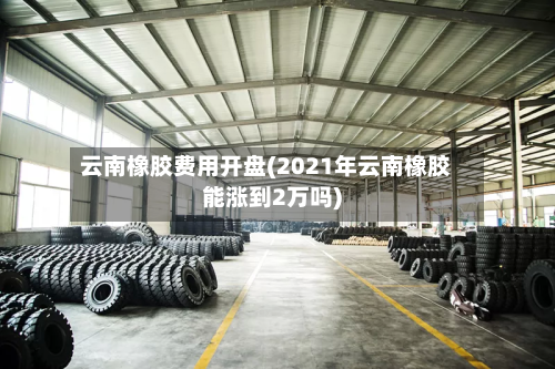 云南橡胶费用开盘(2021年云南橡胶能涨到2万吗)-第3张图片