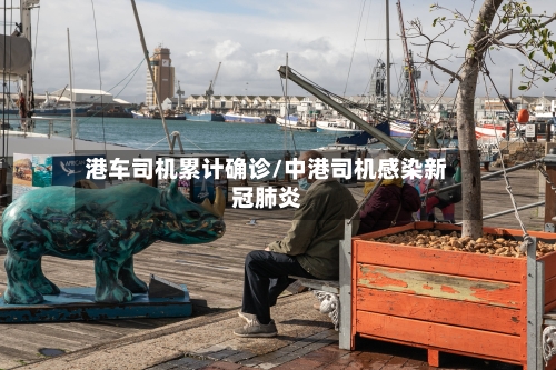 港车司机累计确诊/中港司机感染新冠肺炎
