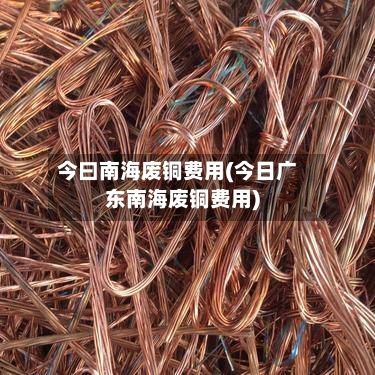 今曰南海废铜费用(今日广东南海废铜费用)