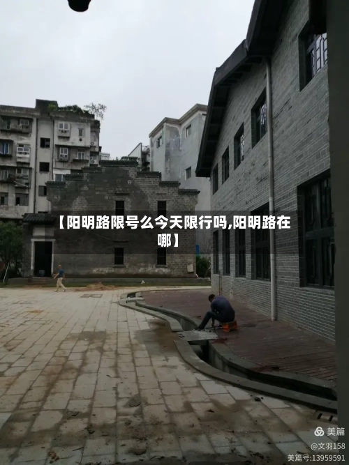 【阳明路限号么今天限行吗,阳明路在哪】