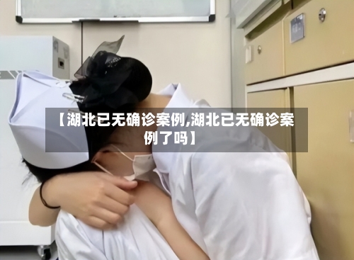 【湖北已无确诊案例,湖北已无确诊案例了吗】