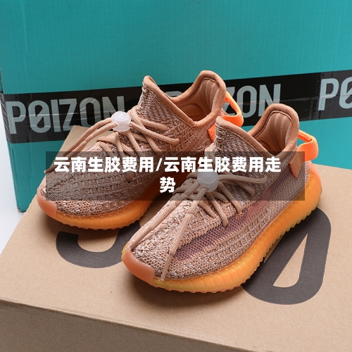 云南生胶费用/云南生胶费用走势-第3张图片