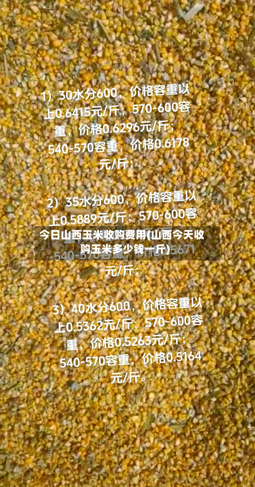 今日山西玉米收购费用(山西今天收购玉米多少钱一斤)