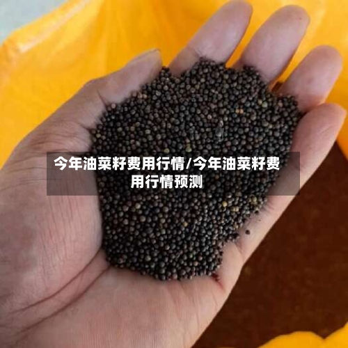 今年油菜籽费用行情/今年油菜籽费用行情预测-第2张图片