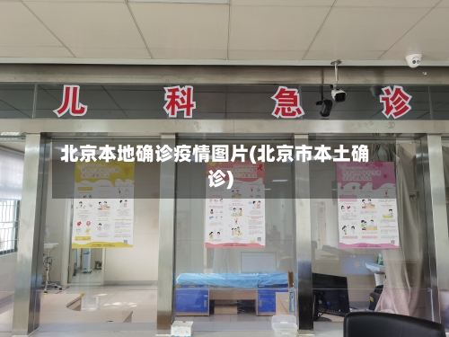 北京本地确诊疫情图片(北京市本土确诊)-第2张图片