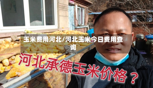 玉米费用河北/河北玉米今日费用查询-第2张图片