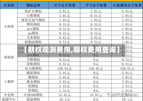 【期权观测费用,期权费用查询】-第3张图片