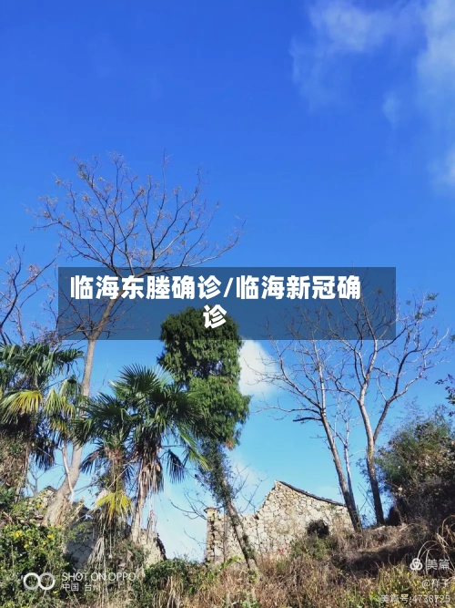 临海东塍确诊/临海新冠确诊-第2张图片