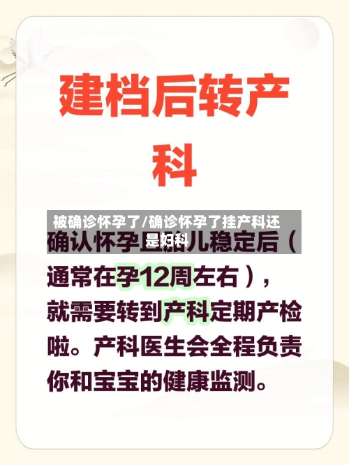 被确诊怀孕了/确诊怀孕了挂产科还是妇科-第3张图片