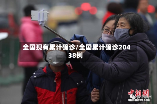 全国现有累计确诊/全国累计确诊20438例-第3张图片