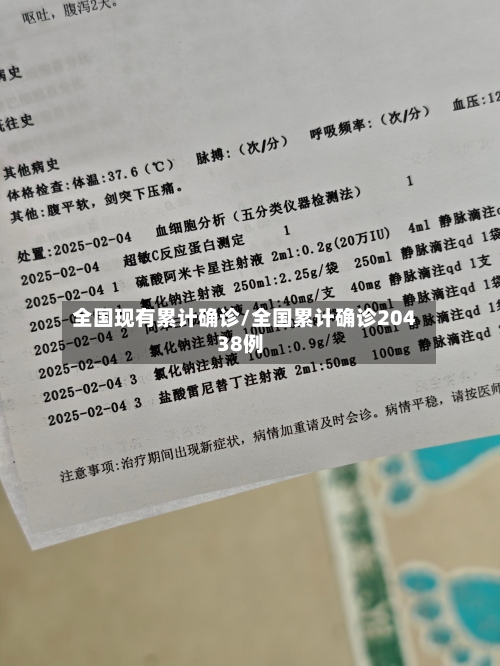 全国现有累计确诊/全国累计确诊20438例-第2张图片