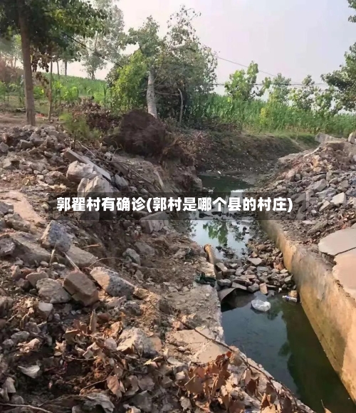 郭翟村有确诊(郭村是哪个县的村庄)