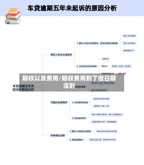 期权以及费用/期权费用到了但日期没到