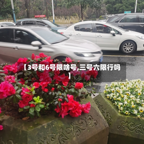 【3号和6号限啥号,三号六限行吗】