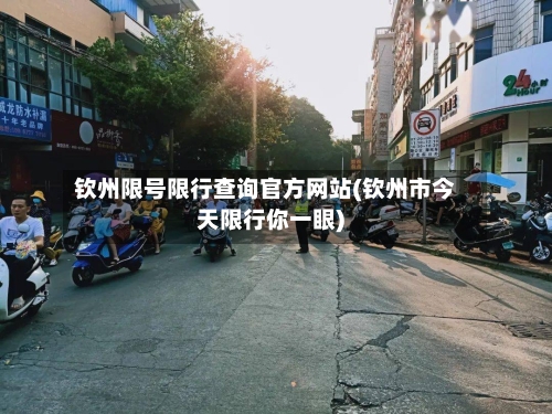 钦州限号限行查询官方网站(钦州市今天限行你一眼)-第2张图片
