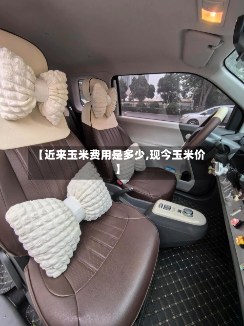 【近来玉米费用是多少,现今玉米价】