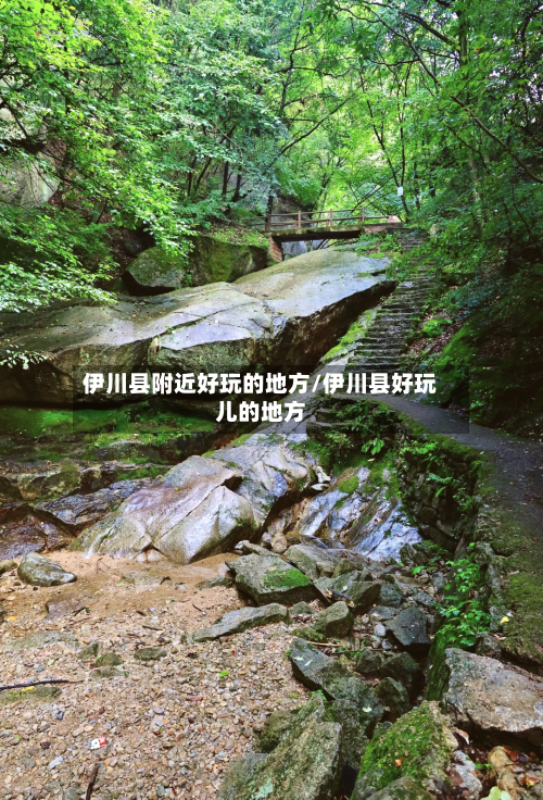 伊川县附近好玩的地方/伊川县好玩儿的地方