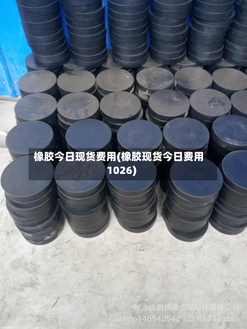 橡胶今日现货费用(橡胶现货今日费用1026)-第3张图片