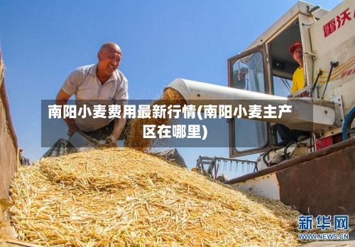 南阳小麦费用最新行情(南阳小麦主产区在哪里)-第2张图片