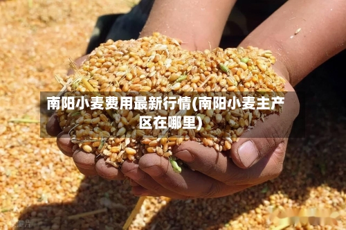 南阳小麦费用最新行情(南阳小麦主产区在哪里)